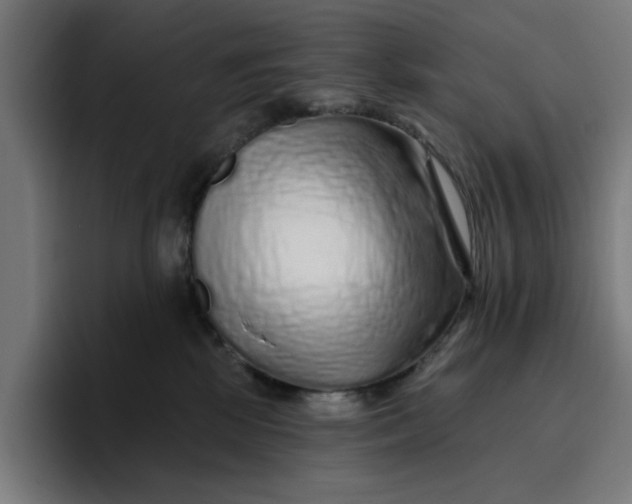 X0000096710281200802191514