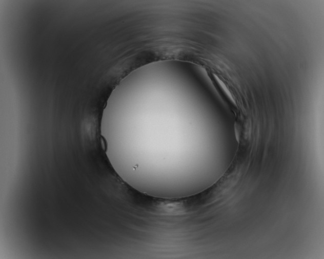 X0000096710283200802191514