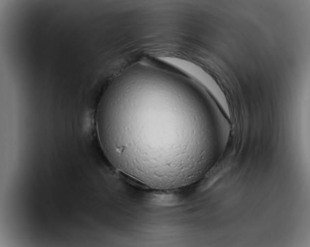 X0000096710284200802191514