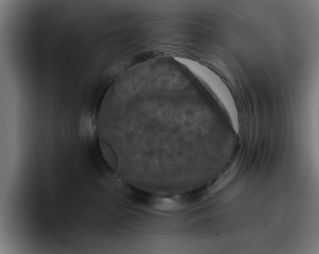 X0000096710285200802191514