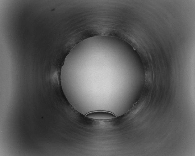 X0000096710286200802191514