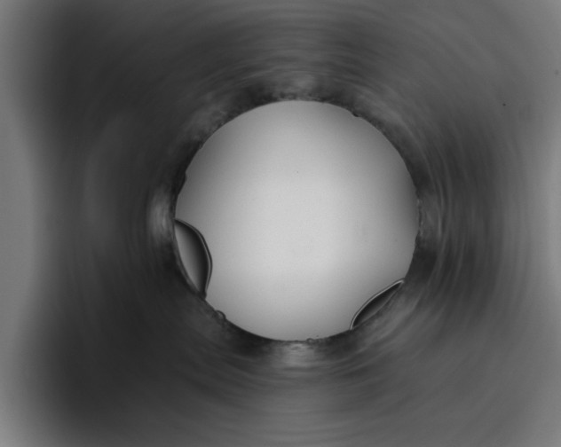 X0000096710287200802191514