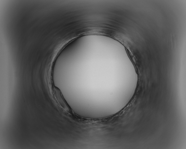 X0000096710289200802191514