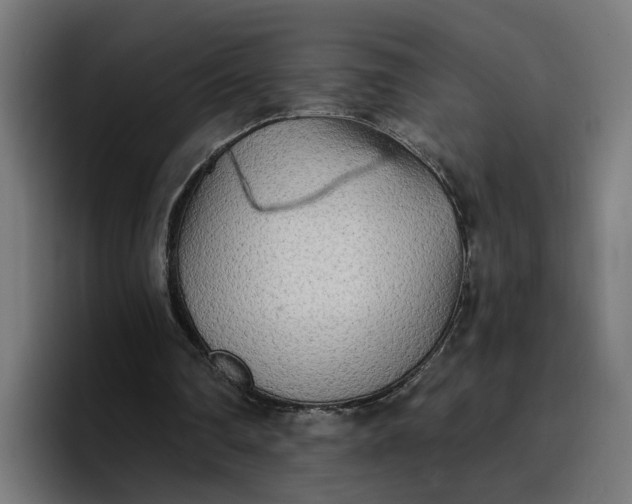 X0000096710290200802191514