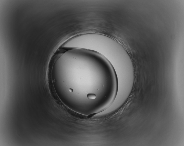 X0000096710292200802191514