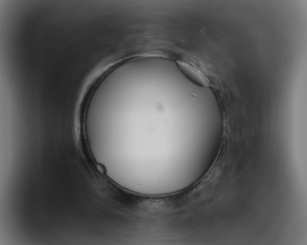 X0000096710294200802191514