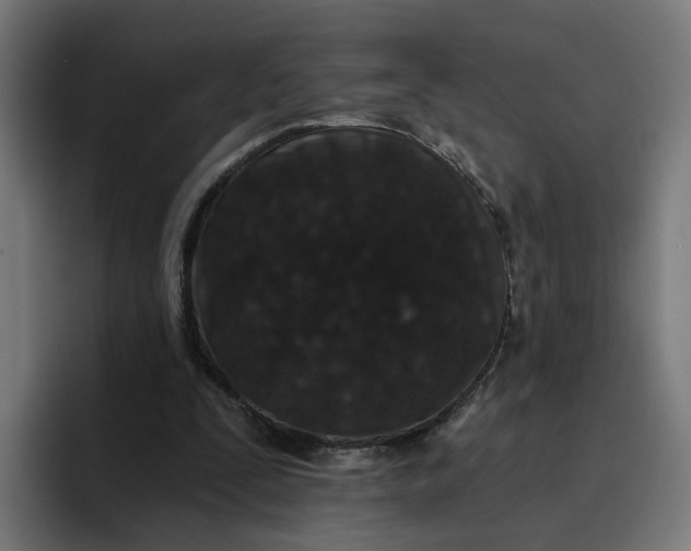 X0000096710295200802191514