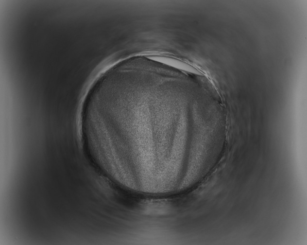 X0000096710296200802191514