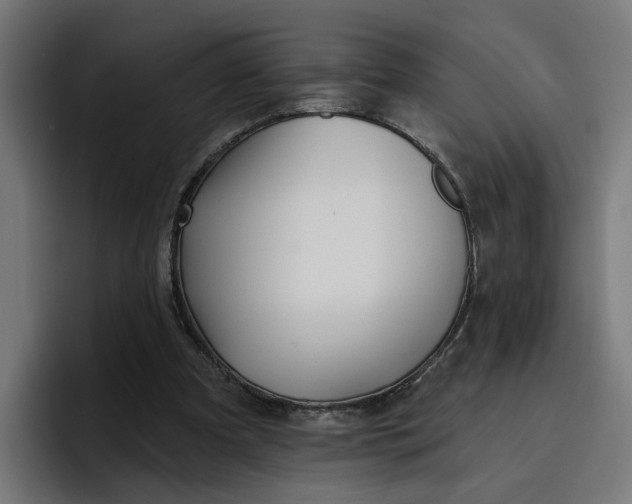 X0000096710297200802191514