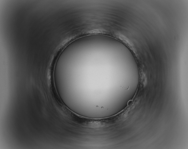 X0000096710298200802191514