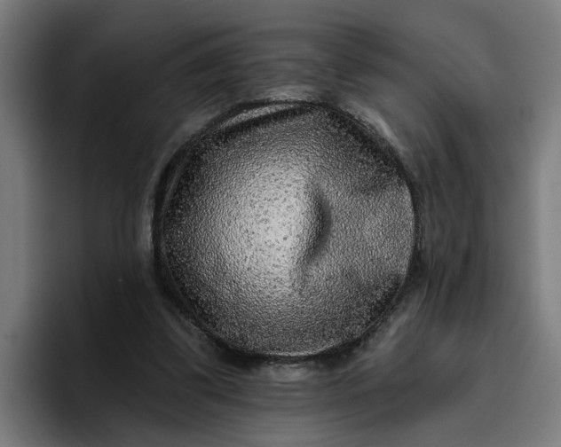 X0000096710299200802191514