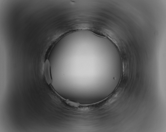 X0000096710301200802191514