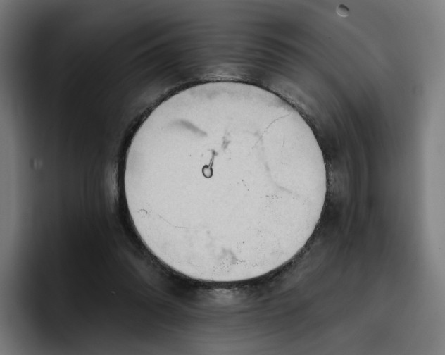 X0000096710302200802191514