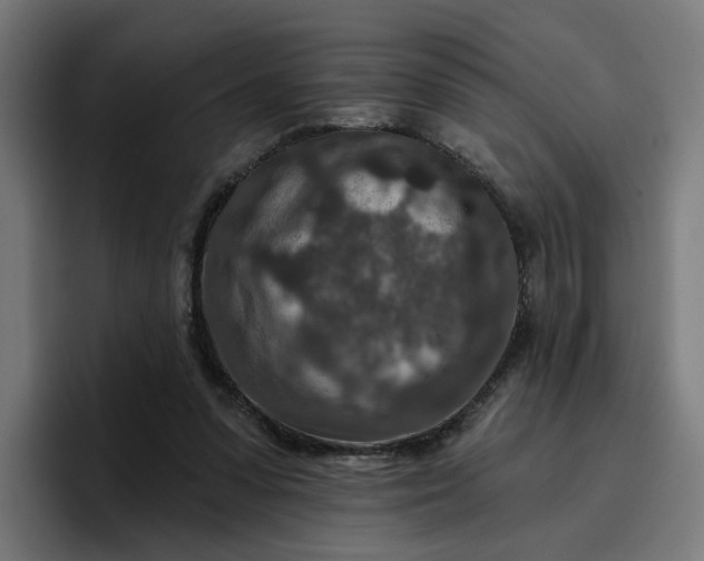 X0000096710303200802191514