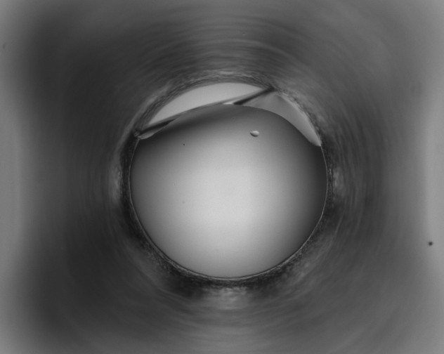 X0000096710304200802191513