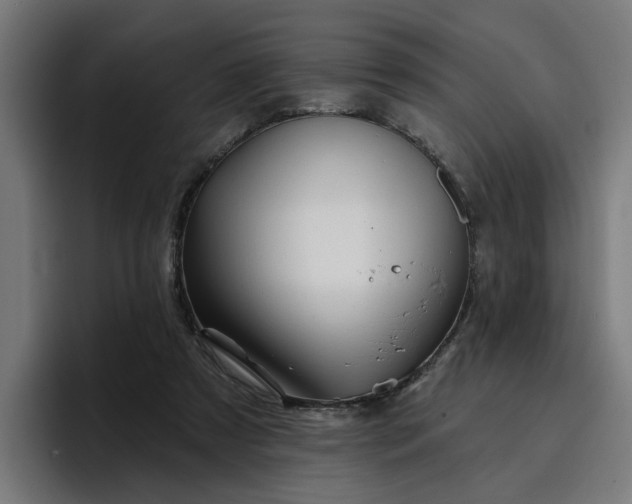 X0000096710305200802191513