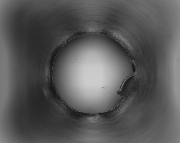 X0000096710306200802191513