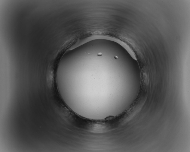 X0000096710308200802191513