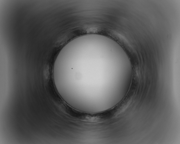 X0000096710311200802191513