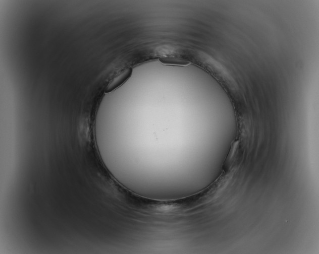 X0000096710313200802191513