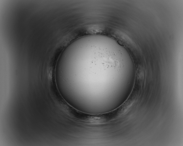 X0000096710315200802191513