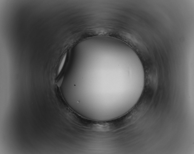 X0000096710317200802191513