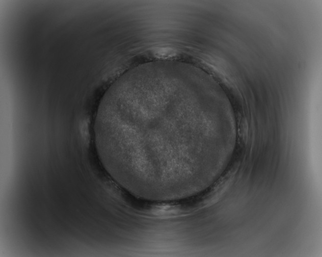 X0000096710319200802191513