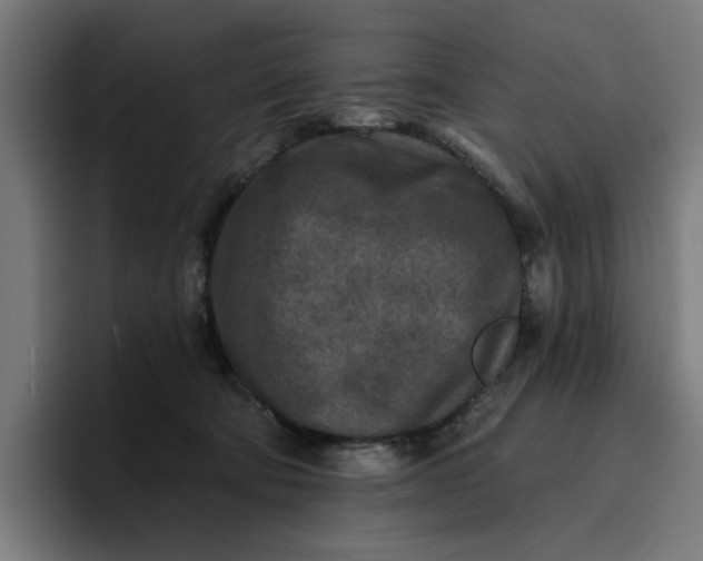 X0000096710322200802191513