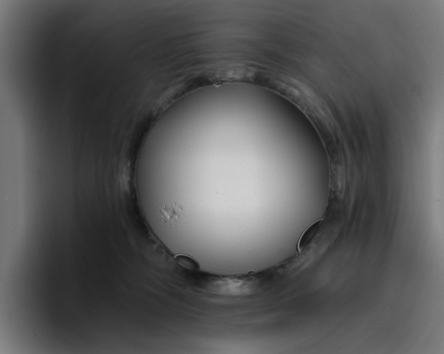 X0000096710326200802191513