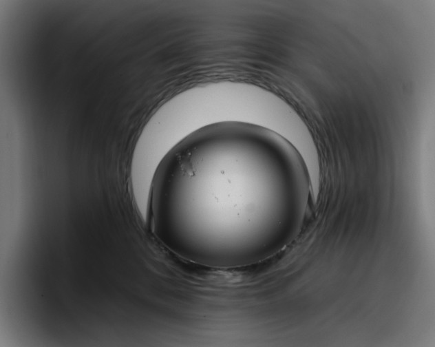 X0000096710328200802191513