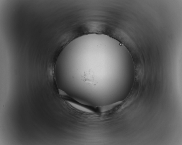 X0000096710329200802191513