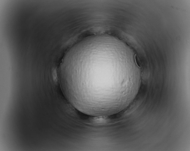 X0000096710335200802191513