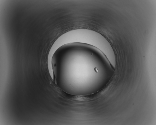 X0000096710336200802191513