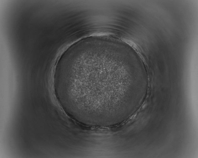 X0000096710337200802191512