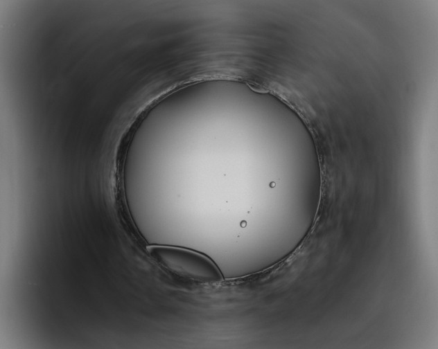 X0000096710338200802191512