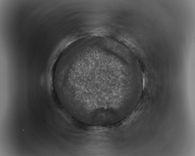 X0000096710339200802191512