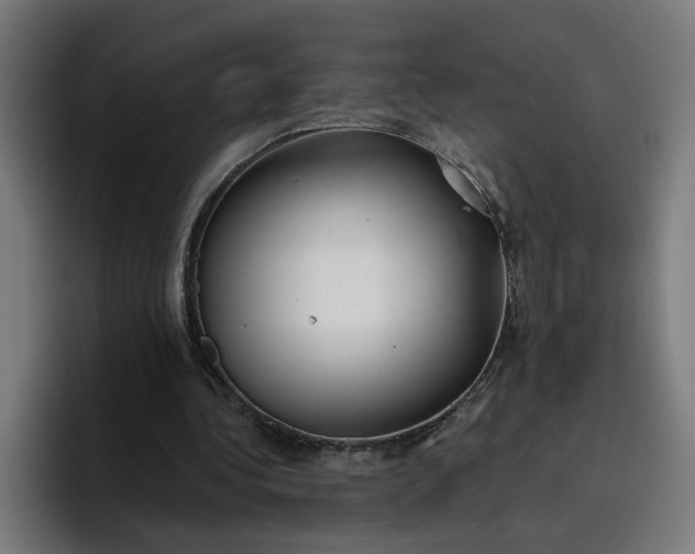 X0000096710340200802191512