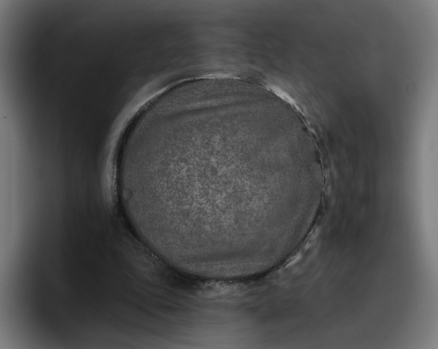 X0000096710343200802191513