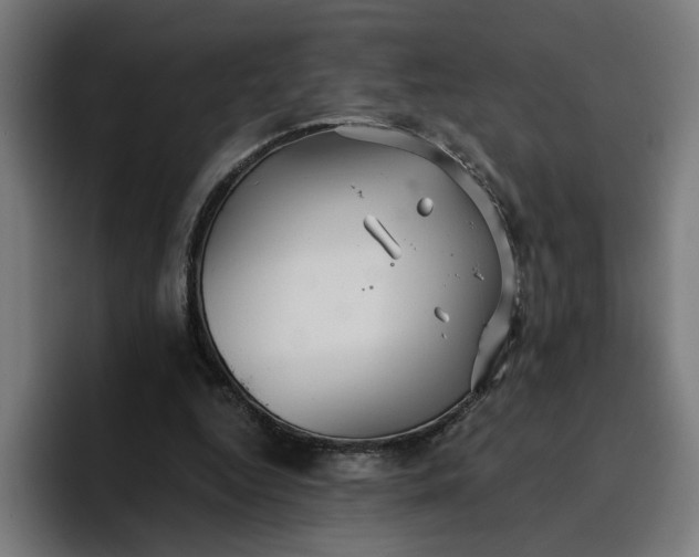 X0000096710344200802191513