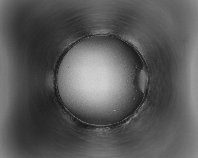 X0000096710345200802191513