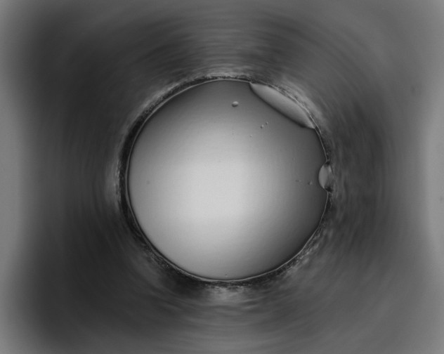 X0000096710346200802191513