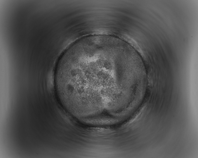 X0000096710347200802191513