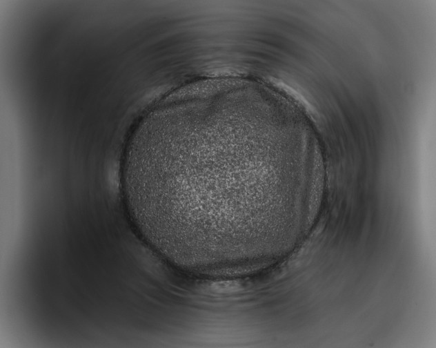 X0000096710353200802191513