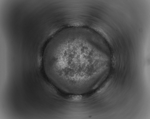 X0000096710355200802191513