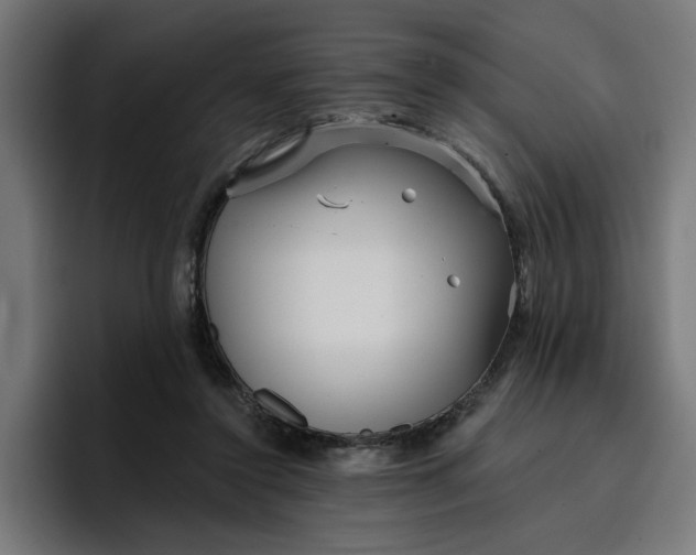 X0000096710356200802191513