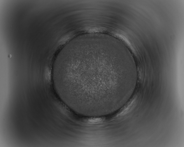 X0000096710357200802191513