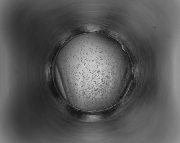 X0000096710360200802191513