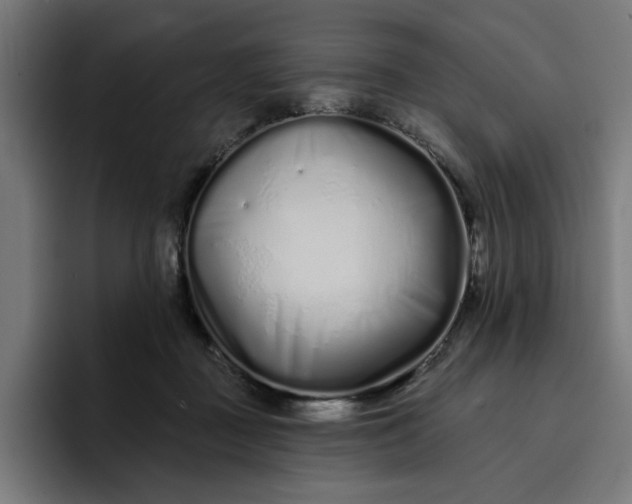 X0000096710363200802191513