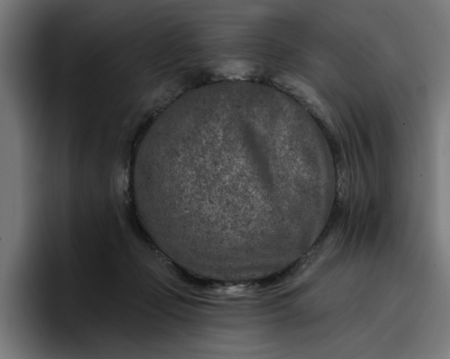 X0000096710365200802191513