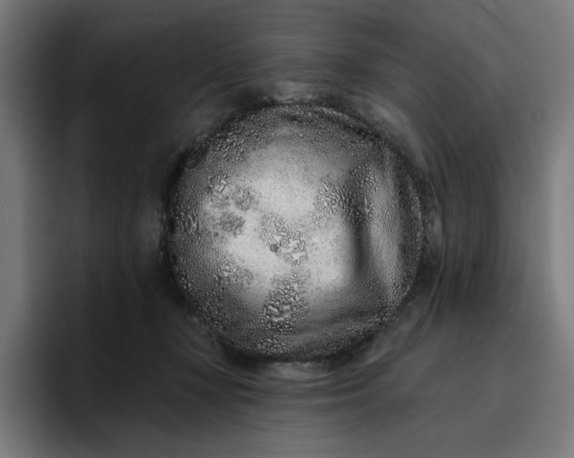 X0000096710367200802191513